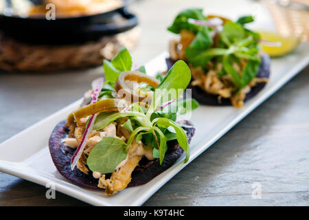 Blue tacos di pollo, agnello lattughe, cipolle rosse e peperoncini jalapeno Foto Stock