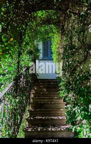 Vitigni sovradimensionate e nascosto e vecchia scalinata in ferro Foto Stock