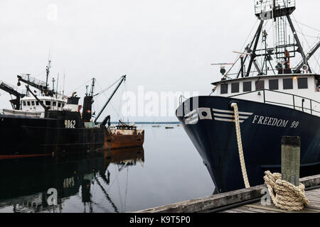 Fondata nel 1753 lunenburg, Nova Scotia, Canada è designato come sito patrimonio mondiale dell'unesco come pure un sito storico nazionale del Canada. Foto Stock