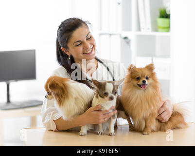 Veterinario abbraccia tre cani in clinica veterinaria Foto Stock