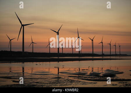 Zone umide gaomei scenario , uno di Taiwan landmark. tramonto della fattoria eolica presso gaomei wetland rifugio, Taiwan Foto Stock