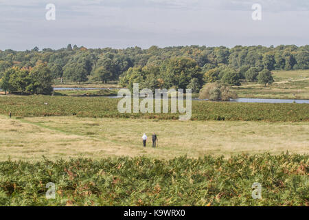 Londra, Regno Unito. 24Sep, 2017. persone godetevi il sole autunnale e gloriosa tempo soleggiato in Richmond Park come temperature più calde sono previsti nei prossimi giorni in Inghilterra southeat credito: amer ghazzal/alamy live news Foto Stock