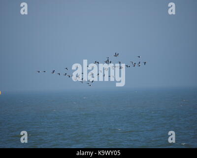 Sheerness, Kent, Regno Unito. 24Sep, 2017. Regno Unito Meteo: un soleggiato e caldo giorno in Sheerness con un leggero nord-est brezza. Credito: James Bell/Alamy Live News Foto Stock