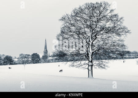 Coperta di neve albero in brockwell Park nel sud di Londra Foto Stock