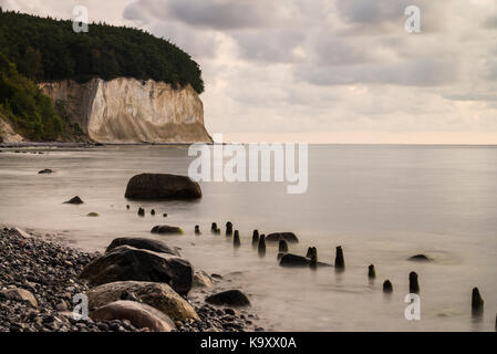 Chalk cliffs, jasmund national park, sassnitz, mar baltico, Rügen, Meclemburgo-Pomerania occidentale, Germania, Europa. Foto Stock