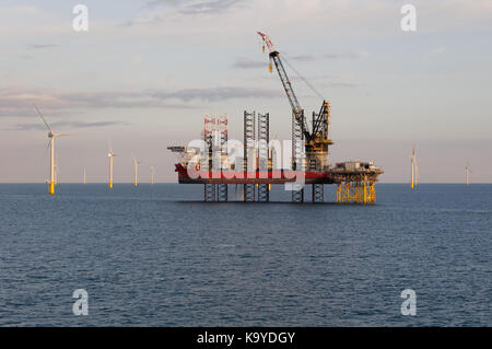 Il pacifico osprey presso l'elettrica sottostazione offshore del rampion per centrali eoliche offshore, vicino a Brighton, Inghilterra. Foto Stock