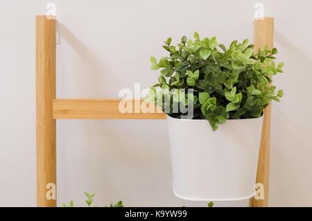 Verde artificiale di piante in un metallo bianco fioriere stand sui ripiani in legno per la casa e arredamento per ufficio senza la cura. Foto Stock