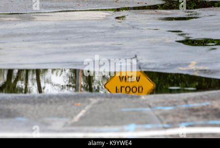 Un'area inondabile un segnale di avviso nella riflessione di una pozza d'acqua, sag harbor, NY Foto Stock