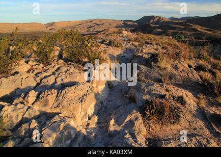 Il Rio Grande Villaggio Sentiero Natura offre ai visitatori con facile accesso alle spettacolari vedute di Rio Grande Valley, il Parco nazionale di Big Bend, Texas Foto Stock