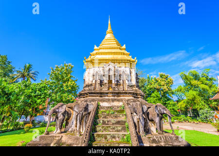 Chiang Mai, Thailandia al Wat Chiang Man. Foto Stock