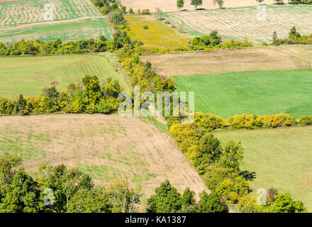 Linee di alberi ed arbusti confinanti con vuoti i campi di fattoria a inizio autunno, visto dal di sopra, nelle zone rurali in Ontario, Canada. Foto Stock