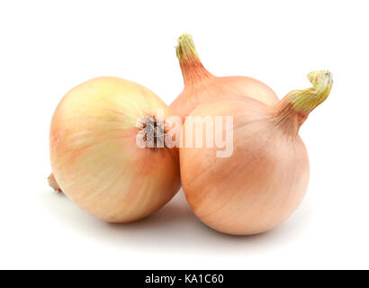Cipolle isolato su uno sfondo bianco Foto Stock