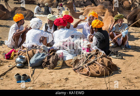 I driver di cammello seduto davanti i loro cammelli Pushkar, Rajasthan, India Foto Stock