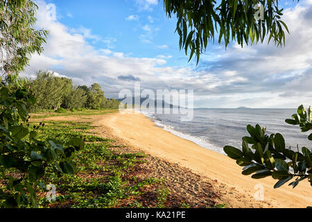 La popolare spiaggia di sabbia della spiaggia di Bramston, estremo Nord Queensland, FNQ, QLD, Australia Foto Stock