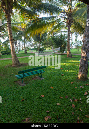 La clinica ayurvedica. Il palm garden per la ricreazione dei pazienti. Foto Stock