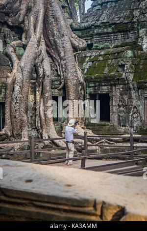 TA Prohm tempio, Angkor Parco Archeologico, Siem Reap, Cambogia Foto Stock