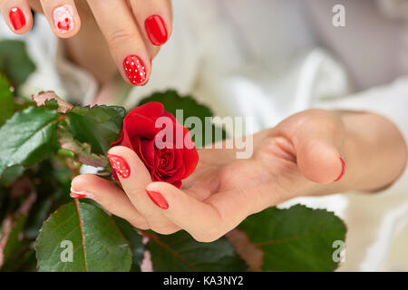 Red rose fresche in mani femminili. giovane donna mani con fantasia rossi azienda manicure bella bocciolo di rosa rossa. bellezza femminile e l'amore. Foto Stock