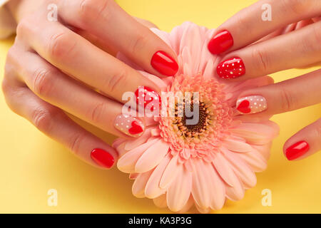 Femmina mani curati e pesca gerbera. donna ben curate mani di pesche gerbera a colori su sfondo giallo. pelle e unghie cura. Foto Stock