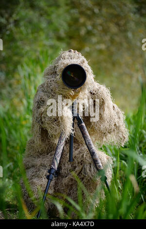 Il camuffamento Wildlife Photographer in Ghillie Suit lavora nel selvaggio Foto Stock