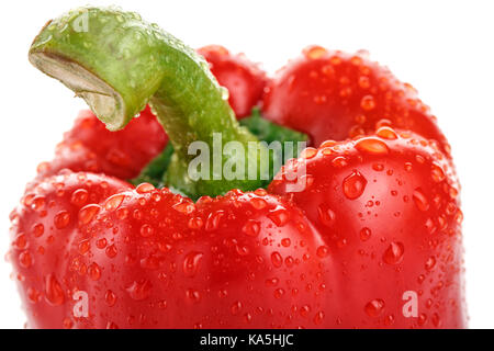 La testa di ripe pepe rosso con gocce di acqua. Foto Stock