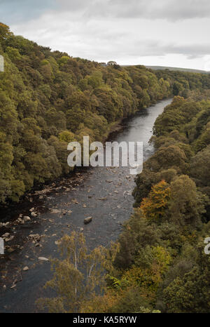 Lambley Viaduct attraversando il sud del fiume Tyne nel Northumberland / Sud Tyne Trail Foto Stock