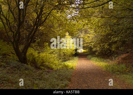 La South Tyne Trail vicino Lambley, Northumberland Foto Stock