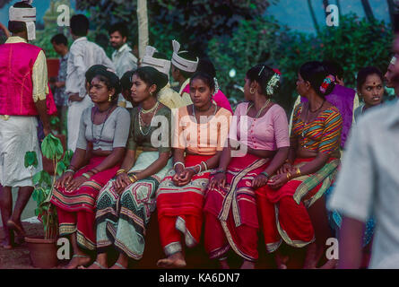 Popolare artista ladies warli tribe, Maharashtra, India, Asia - stp 258894 Foto Stock