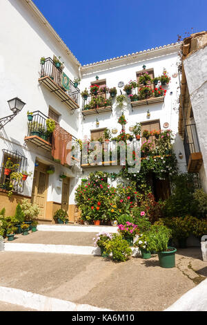 Tipico patio andaluso con balconi e vasi di fiori, Andalusia, Spagna. Foto Stock