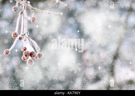 Bacche di colore rosso nel gelo. i fiocchi di neve in inverno sfondo. illustrazione di natale. Foto Stock