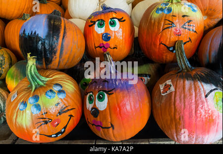 Allegre zucche dipinte per celebrare HalloweenUnited States Foto Stock