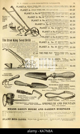 Questa immagine presenta un seme annuale, che si concentra sulla crescita e il ciclo della vita vegetale dal seme alla piena maturità. L'annuale mette in evidenza i processi agricoli e biologici coinvolti nella crescita delle piante. Foto Stock