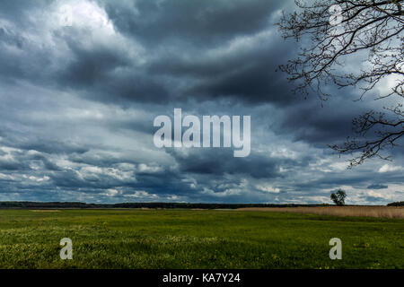 Pesante scure nuvole temporalesche hanno coperto il cielo sopra il campo. paesaggio di campagna Foto Stock