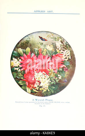 La flora australiana in arte applicata bhl7371603 Foto Stock