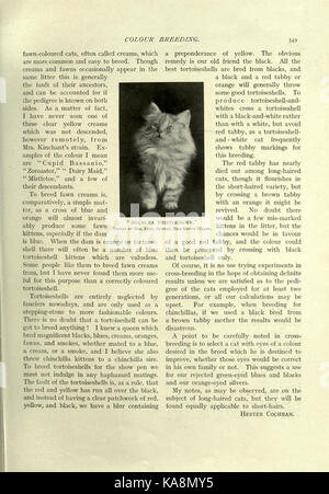 Una pagina di "The Book of the Cat", un'opera completa che descrive in dettaglio vari aspetti dei gatti, tra cui la loro storia, il loro comportamento e le loro caratteristiche. L'immagine proviene dalla collezione BHL e mette in evidenza il valore dell'opera letteraria negli studi sugli animali. Foto Stock