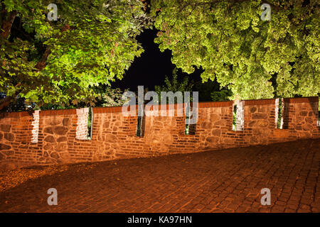 Parete merlata e illuminato di alberi del castello di Bratislava di notte in Slovacchia, europa Foto Stock