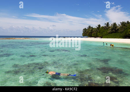 Maldive snorkeling - i turisti in una vacanza Maldive snorkeling off Kuramathi resort, Maldive, Asia Foto Stock