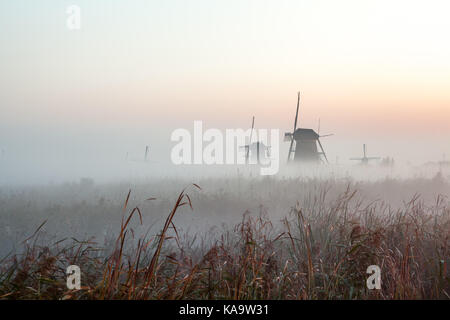 Nebbia vicino i mulini a vento di Kinderdijk in Olanda Foto Stock