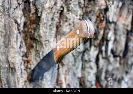 Coltello con un manico in legno Foto Stock