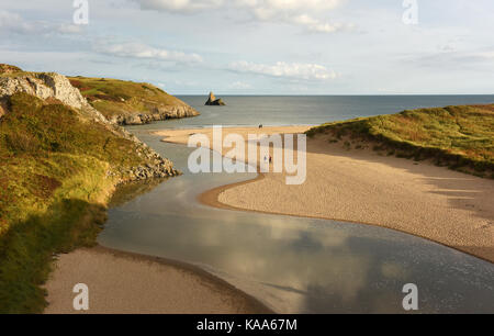 Ampia Haven South Beach si trova nei pressi del villaggio di Bosherston in South Pembrokeshire nel Galles Occidentale. Foto Stock