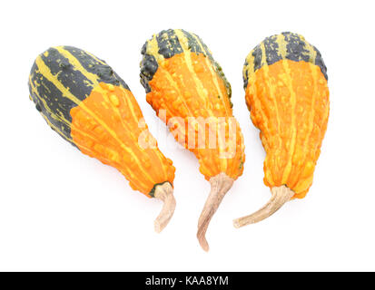 Gruppo di tre a forma di pera di colore arancione e verde coloquintidi ornamentali, isolato su sfondo bianco Foto Stock