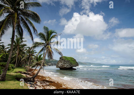 Bello e robusto Bathsheba Beach sulla costa est di Barbados Foto Stock