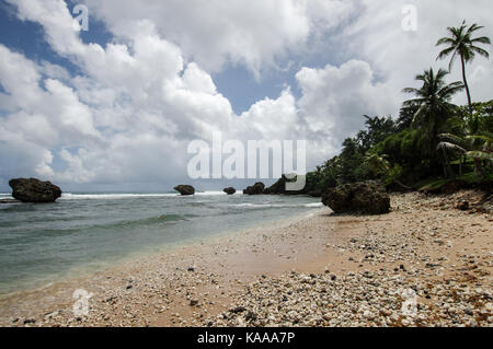 Bello e robusto Bathsheba Beach sulla costa est di Barbados Foto Stock