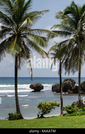 Bello e robusto Bathsheba Beach sulla costa est di Barbados Foto Stock