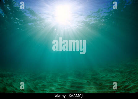L'Egitto. Mar Rosso. Sunburst vista subacquea del fondale marino. Foto Stock
