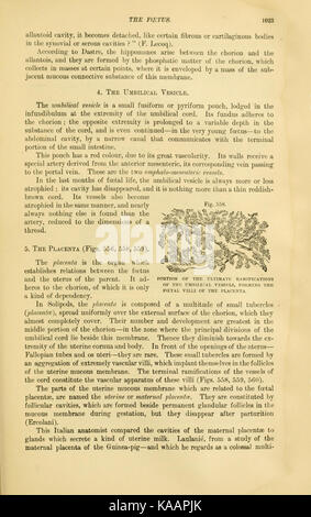 Questa pagina di un lavoro sull'anatomia comparata esamina le differenze anatomiche tra i vari animali domestici, contribuendo al campo della scienza veterinaria e della biologia animale. Foto Stock