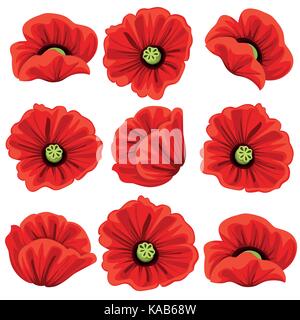 Fiori di papavero set di icone. vettore isolato simboli botanici di fioritura papaveri rossi fiori. bouquet floreali o primavera fioriscono mazzi floreali de Illustrazione Vettoriale