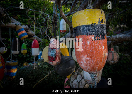 Vecchio boe appendere nella struttura ad albero con focus su giallo, nero e boa arancione nella parte anteriore Foto Stock