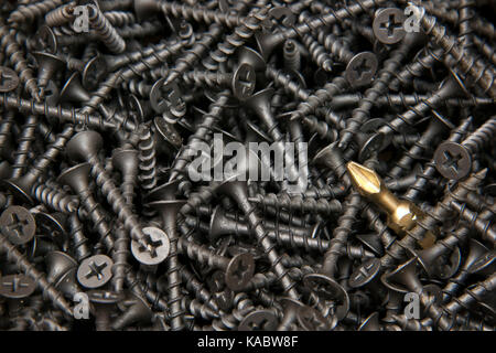 Punta per cacciavite e viti close up Foto Stock