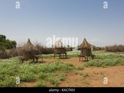 Capanna tradizionale in un villaggio di Kangate, Valle dell'Omo, Etiopia Foto Stock