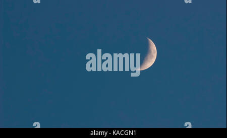 Quarto di luna su un cielo blu Foto Stock